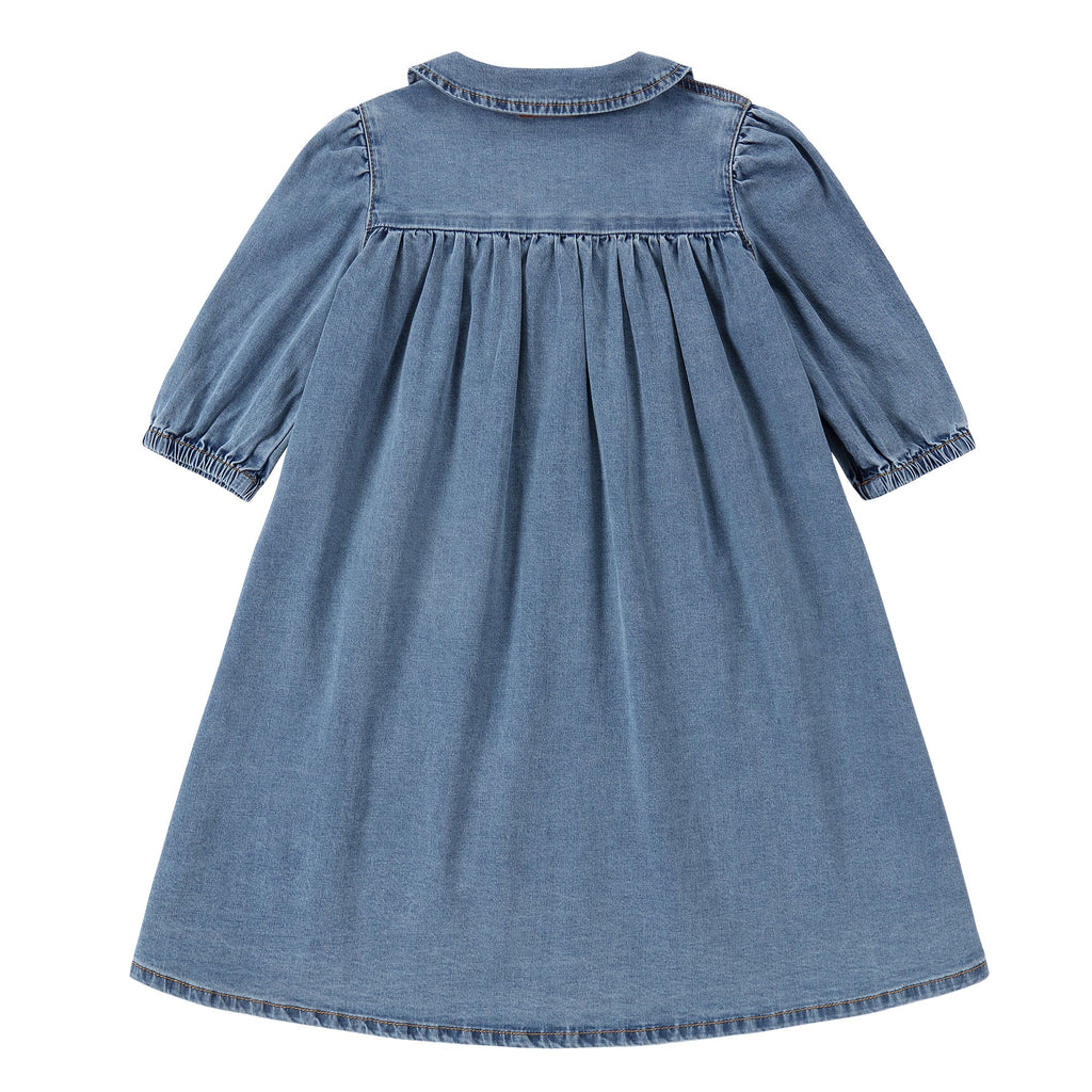 Denim Peter Pan Collar Dress