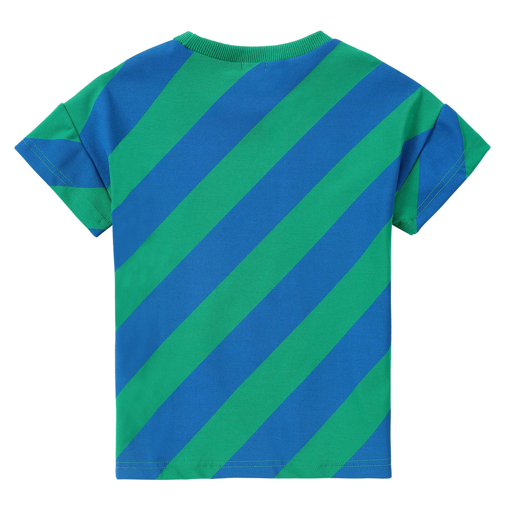 Green and Blue Diagonal Stripe T-Shirt