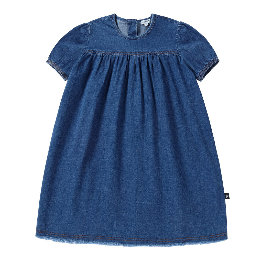 Girls Blue Denim Dress