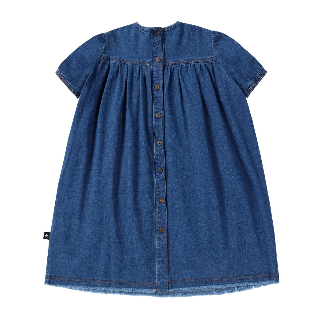 Girls Blue Denim Dress