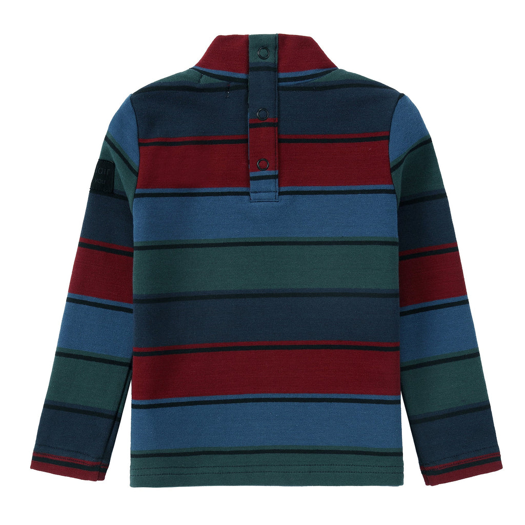 Jewel-Tone Stripe Turtle Neck