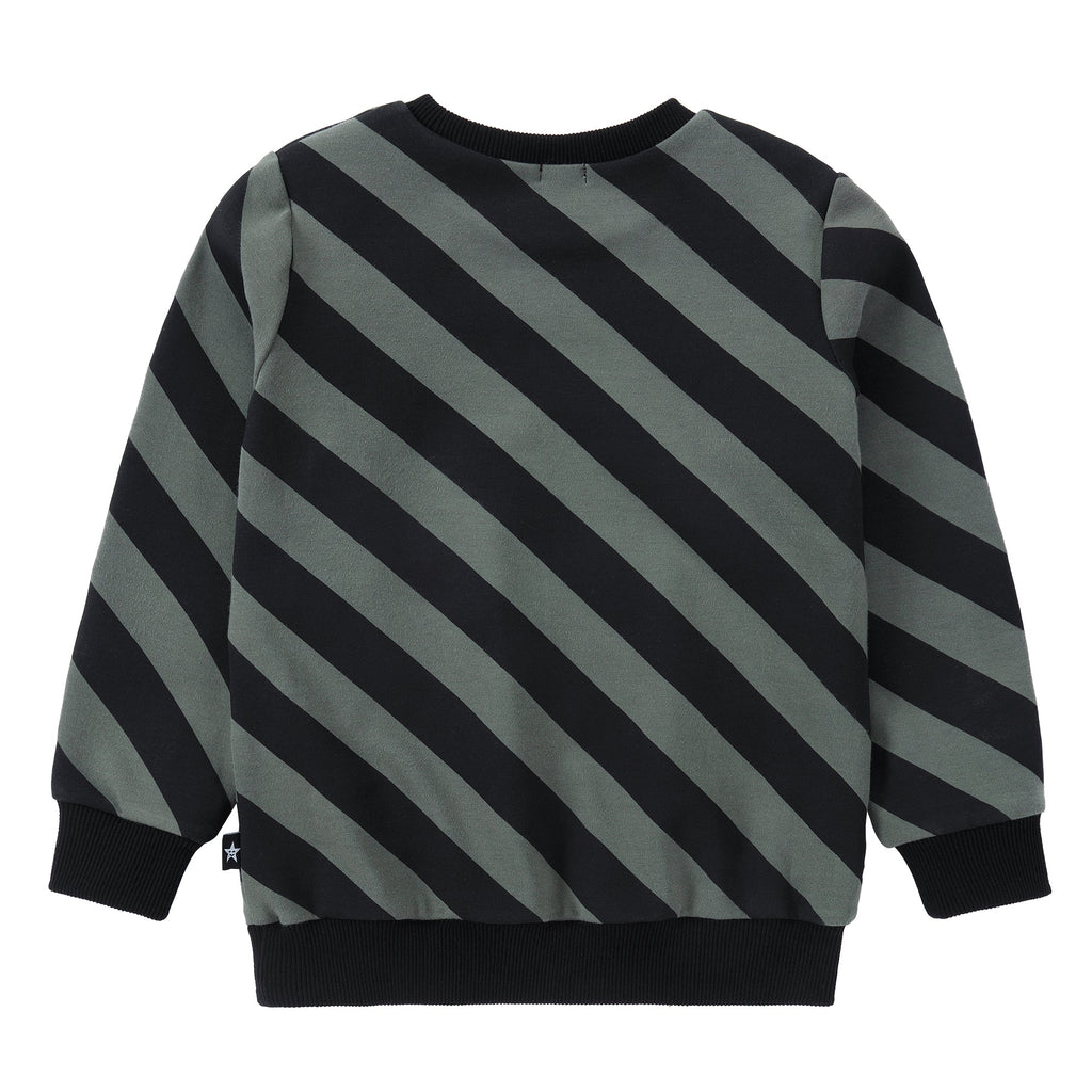 Muted Green Diagonal Stripe Sweatshirt